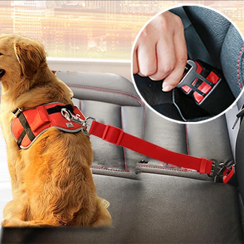 BeltPet™ - Ceinture de siège pour animal de compagnie - Canin Coquin